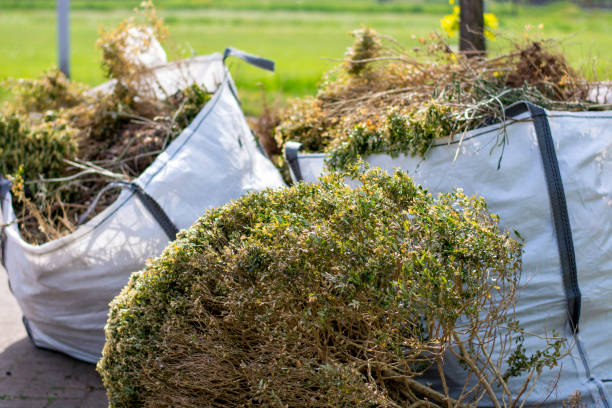 Best Junk Hauling Services  in Wilton, IA