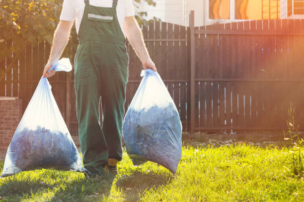 Best Junk Removal Near Me  in Wilton, IA