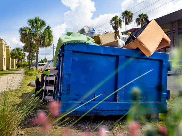 Best Professional Junk Removal  in Wilton, IA